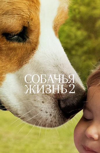 Фильм Собачья жизнь 2 2019 года смотреть онлайн в хорошем качестве